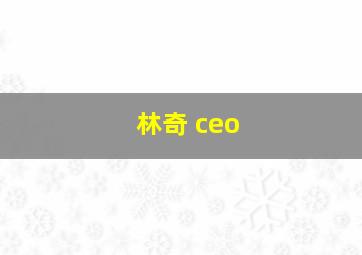 林奇 ceo